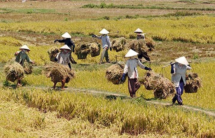 Hotspot Matrix: Biến Sốc: Vụ tố đào lửa hàng thành cơ hội marketing đột phá