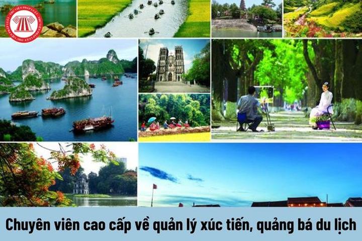 Hưu trí năng động: Tìm lại giá trị với Hotspot Matrix