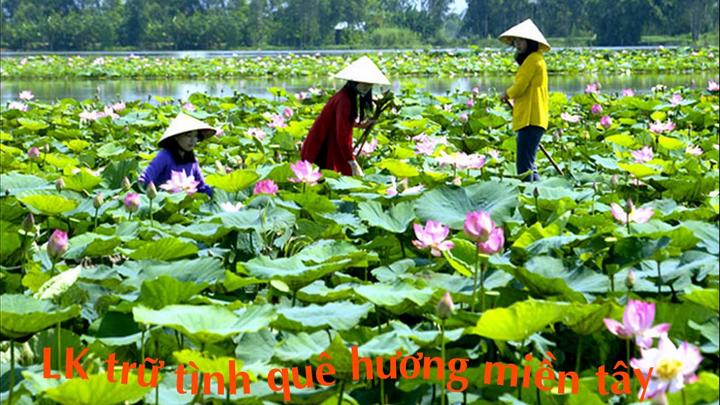 Hotspot Matrix: Biến Mẹ Cua Cốm khen vải trứng Phù thành cơ hội marketing đột phá