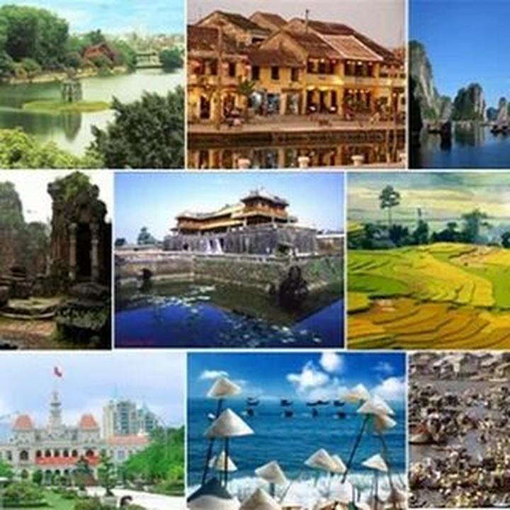 Triệu View Từ Vlog Thú Cưng: Bí Quyết Thành Công Cùng Hotspot Matrix