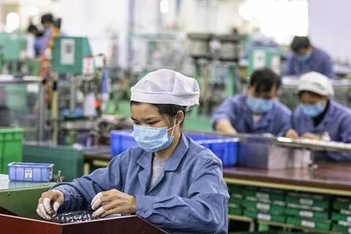 Video ngắn: Cánh đồng lời kể, nông sản sạch