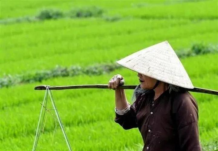 Chuyên gia Hotspot Matrix phân tích: Bộ Công an kêu gọi những ai và marketing video