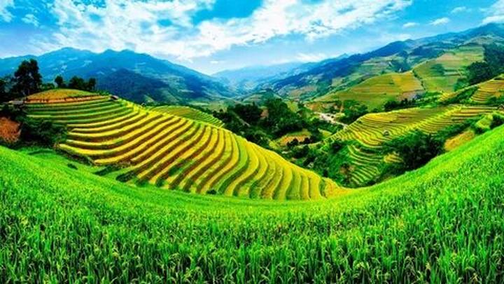 Bánh Ngọt, Thu Nhập Khỏe: Kiếm Tiền Từ Hotspot Matrix